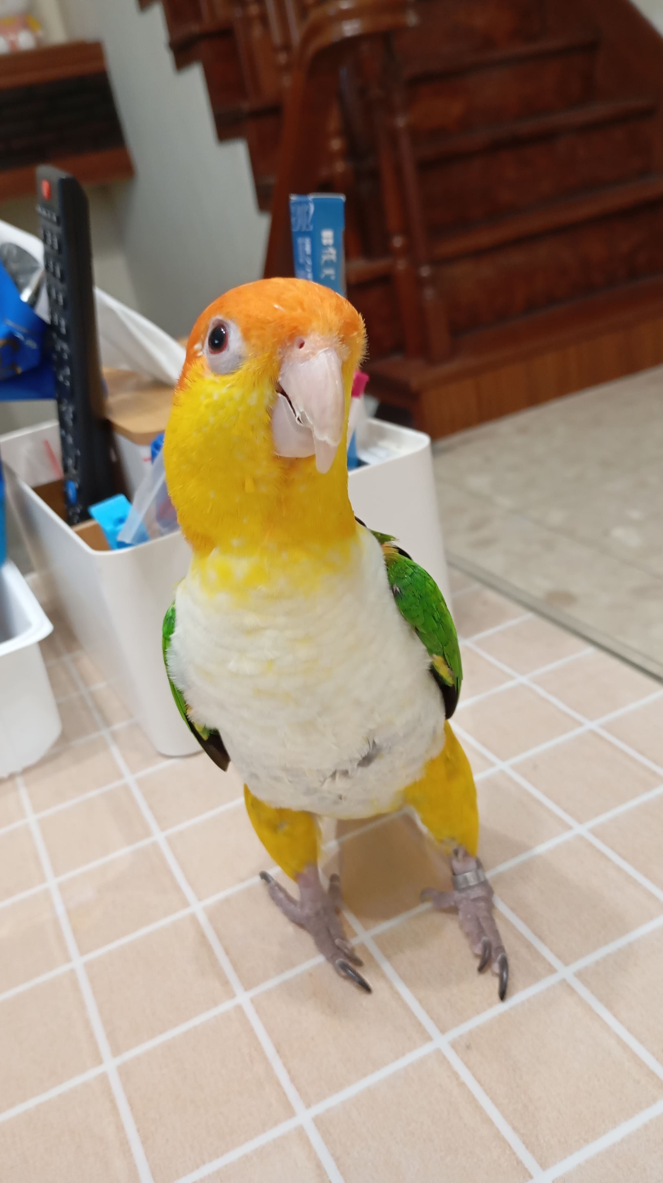 主題圖片